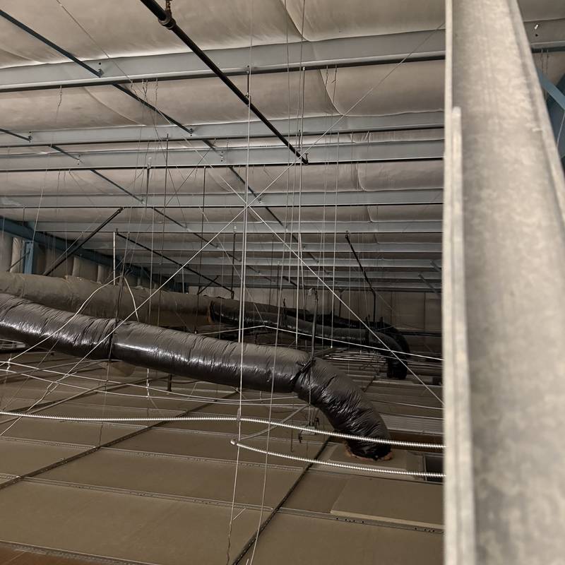 Electrical wiring above a drop ceiling grid during a commercial build-out